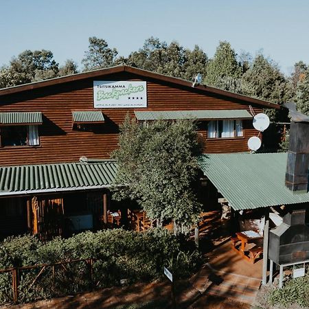 Tsitsikamma Backpackers Hostel Stormsrivier Exterior photo