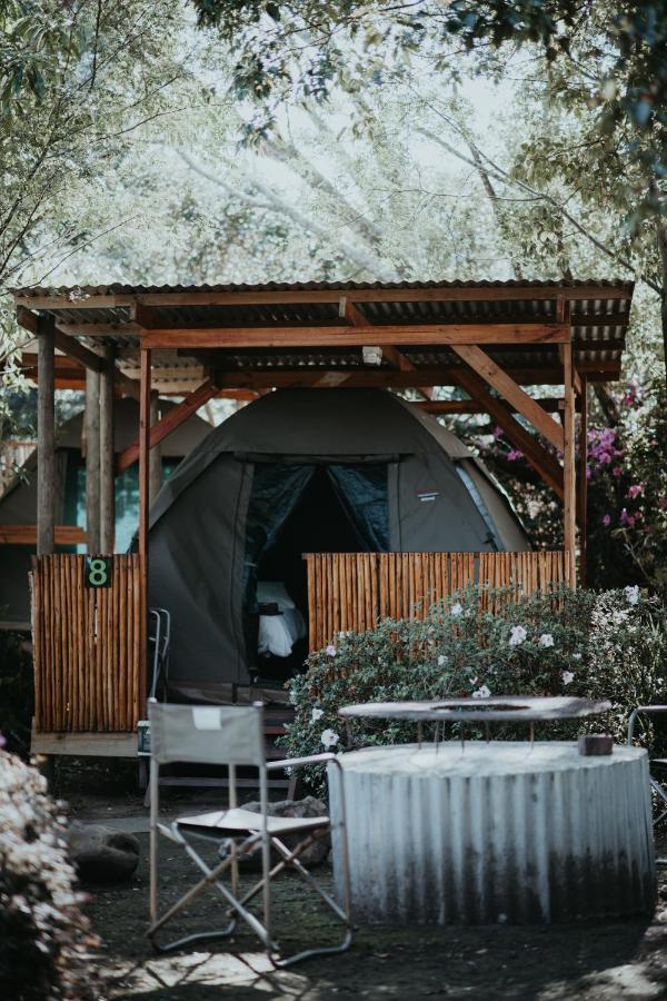 Tsitsikamma Backpackers Hostel Stormsrivier Exterior photo