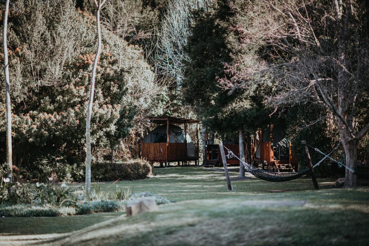 Tsitsikamma Backpackers Hostel Stormsrivier Exterior photo